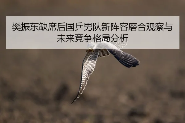 樊振东缺席后国乒男队新阵容磨合观察与未来竞争格局分析